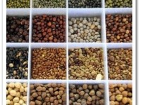 dal